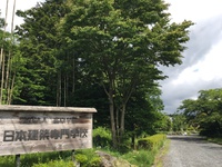 母校へ