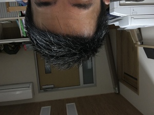 カット