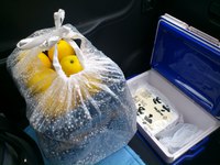 久しぶりの宅配便～お嬢→西いずラさん！
