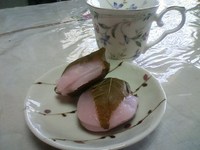 待ち遠しい！！