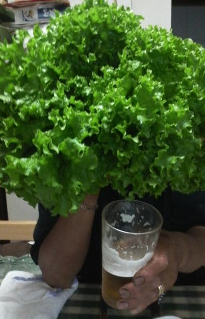 匠ファームのアフロ？