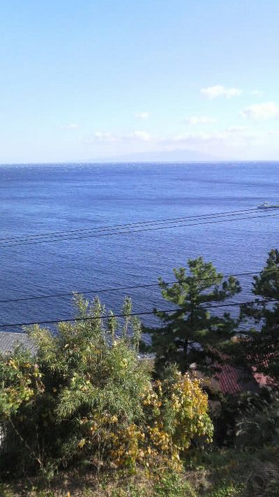 どこの海??