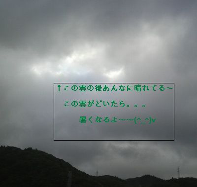 山のお日様