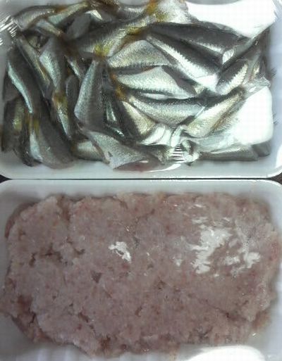頂きました～！！