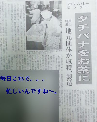 今朝の新聞