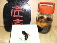 匠庵のお宝