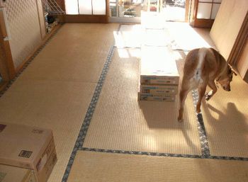匠庵のBefore・Afterでーす。