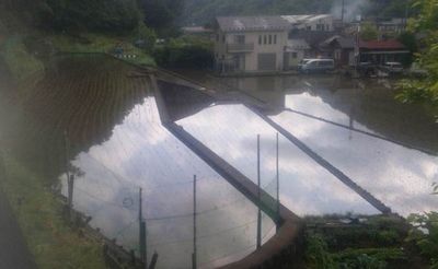 匠ふぁーむ田んぼ