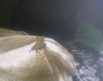 匠ふぁーむ田んぼ