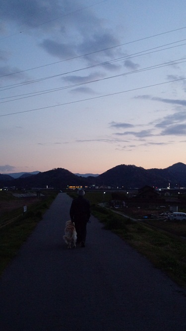 散歩道。