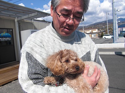 あおやま庭球塾のマスコット犬　２号