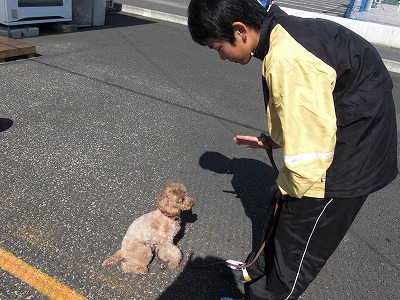 あおやま庭球塾のマスコット犬　２号