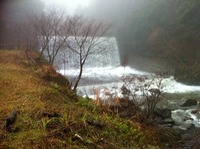 大棚の滝