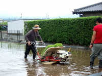 田植え