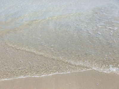 夏休み♪　海水浴♪　もう入田浜は夏本番です＾＾