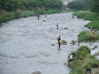 河津川のアユ釣り解禁