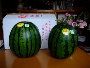 幻のスイカ