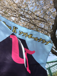 ナガセケンコー旗争奪  第21回静岡県小学生男子・女子ソフトボール大会