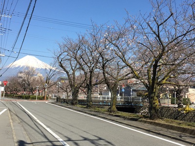 ただ今満室