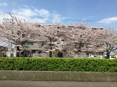 ただ今満室