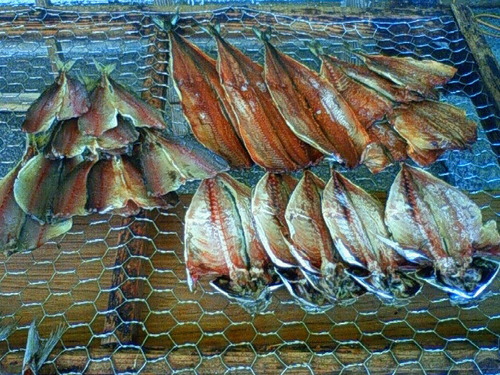 今日の日曜市情報！