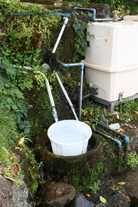 うちの近所の湧水は・・・
