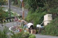 うちの近所の湧水は・・・