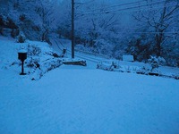 我が家の庭は銀世界 2014/02/08 09:48:20
