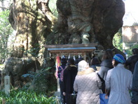 来宮神社へ参拝 2015/01/05 17:39:19