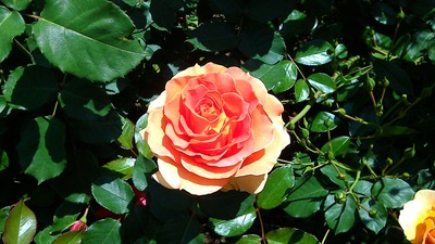 5月20日の記事