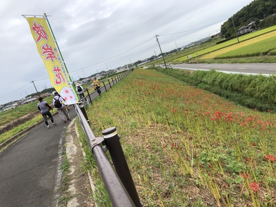 バスツアー　ミツカンミュージアムと新見南吉記念館