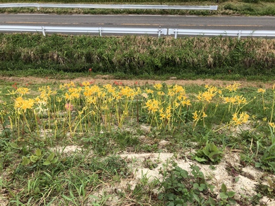 バスツアー　ミツカンミュージアムと新見南吉記念館