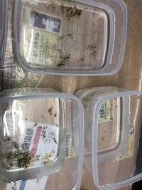 えびたちをお持ち頂いたお客様　～１０月17日