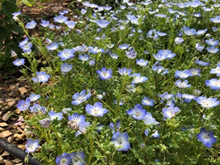 えびたちをお持ち頂いたお客様　～5月15日