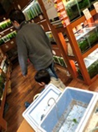 えびたちをお持ち頂いたお客様　けーすけえびさん