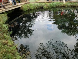 忍野八海