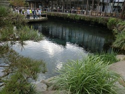 忍野八海