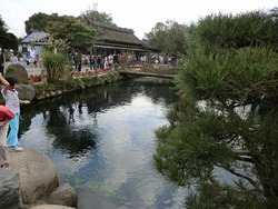 忍野八海