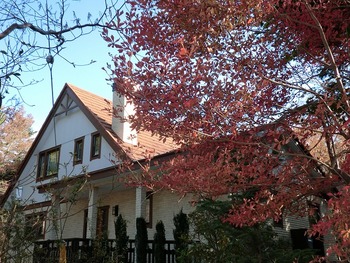箱根の紅葉