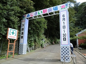アジサイ公園　in下田