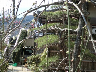 お花見会と勉強会