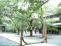 夏越大祓　三嶋大社