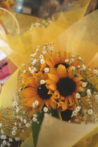 結婚式 披露宴 BGM ひまわり 向日葵 sunflower