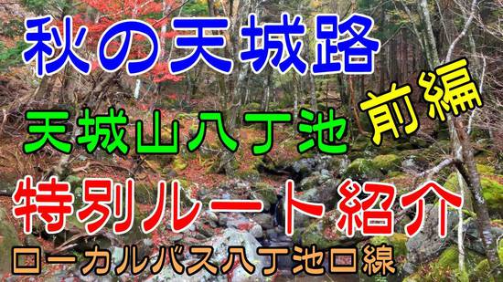 天城峠　紅葉がピークに