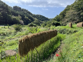【お知らせ】　今日の棚田づくり応援隊