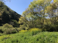 棚田づくり応援隊　頑張っています！