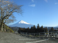 薪活