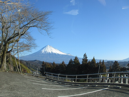 薪活