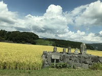 秋晴れの一日、御殿場にて