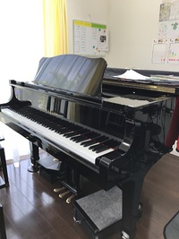 今日は振替レッスン日です